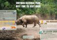 jungle safari in chitwan national park